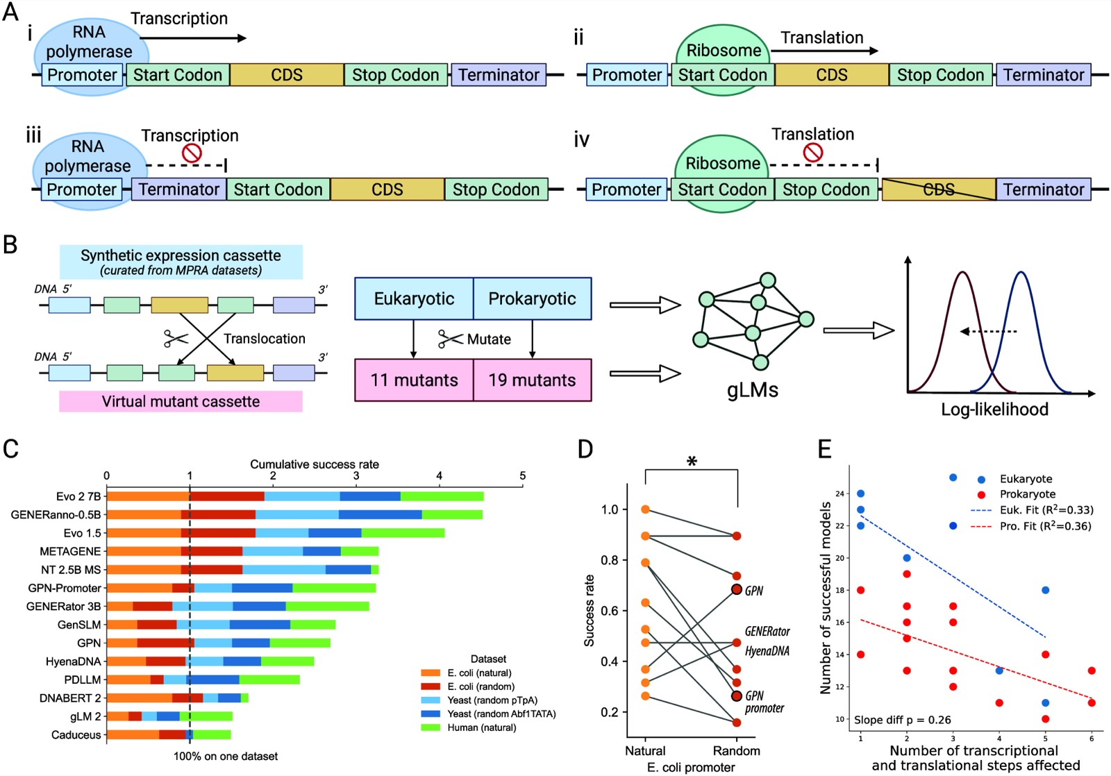 Nullsettes construction and evaluation across engineered functional sequences