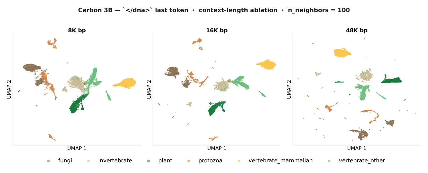 UMAP projections of separator-token embeddings at 8k, 16k, and 48k context, colored by taxonomic group, showing clusters tightening as context grows.