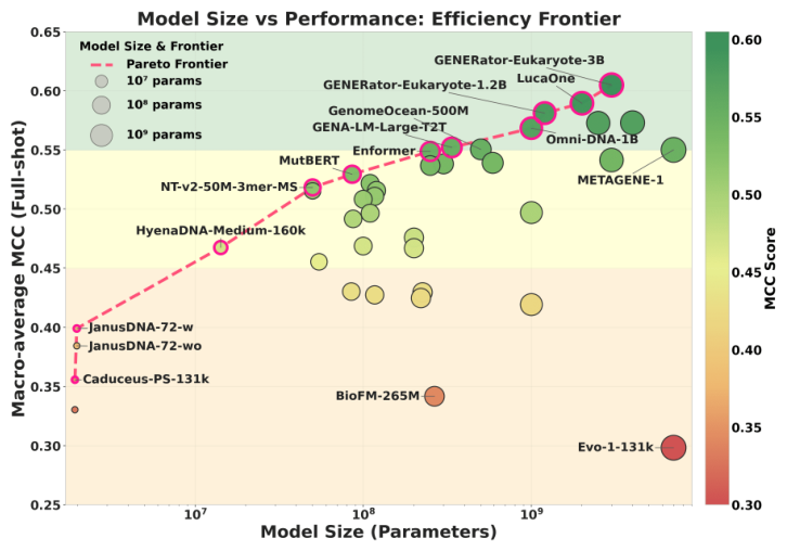 Figure 10: GENEB's efficiency frontier: small, architecture-aligned models sit on or near the model-size-versus-performance frontier while some large models fall below it.