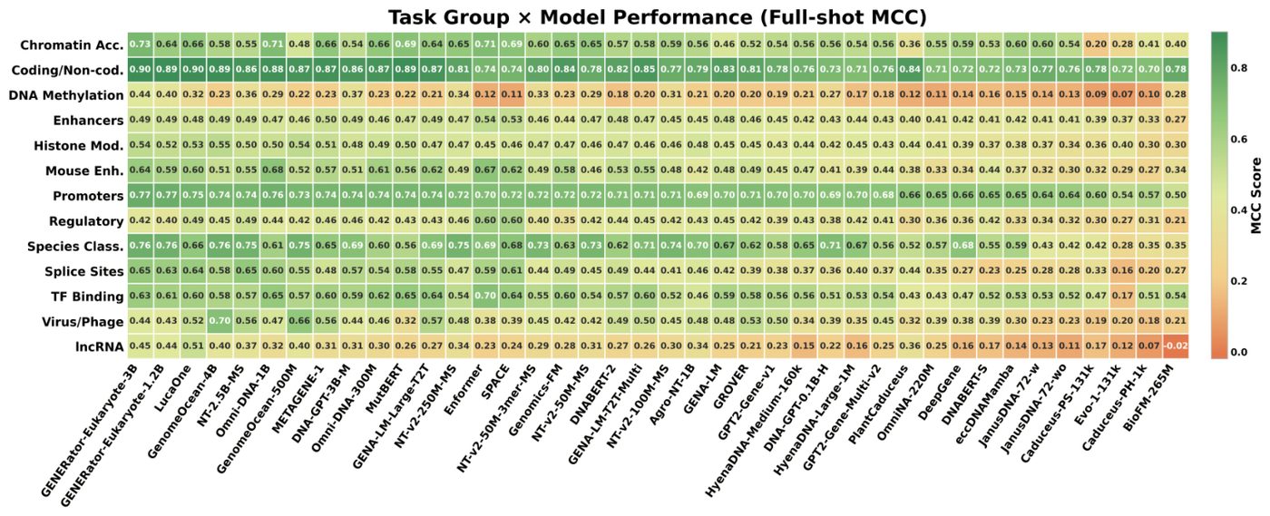 Figure 3: GENEB's full-shot MCC heatmap across 40 models and 13 task groups shows rankings reshuffle by category, with no single dominant model.