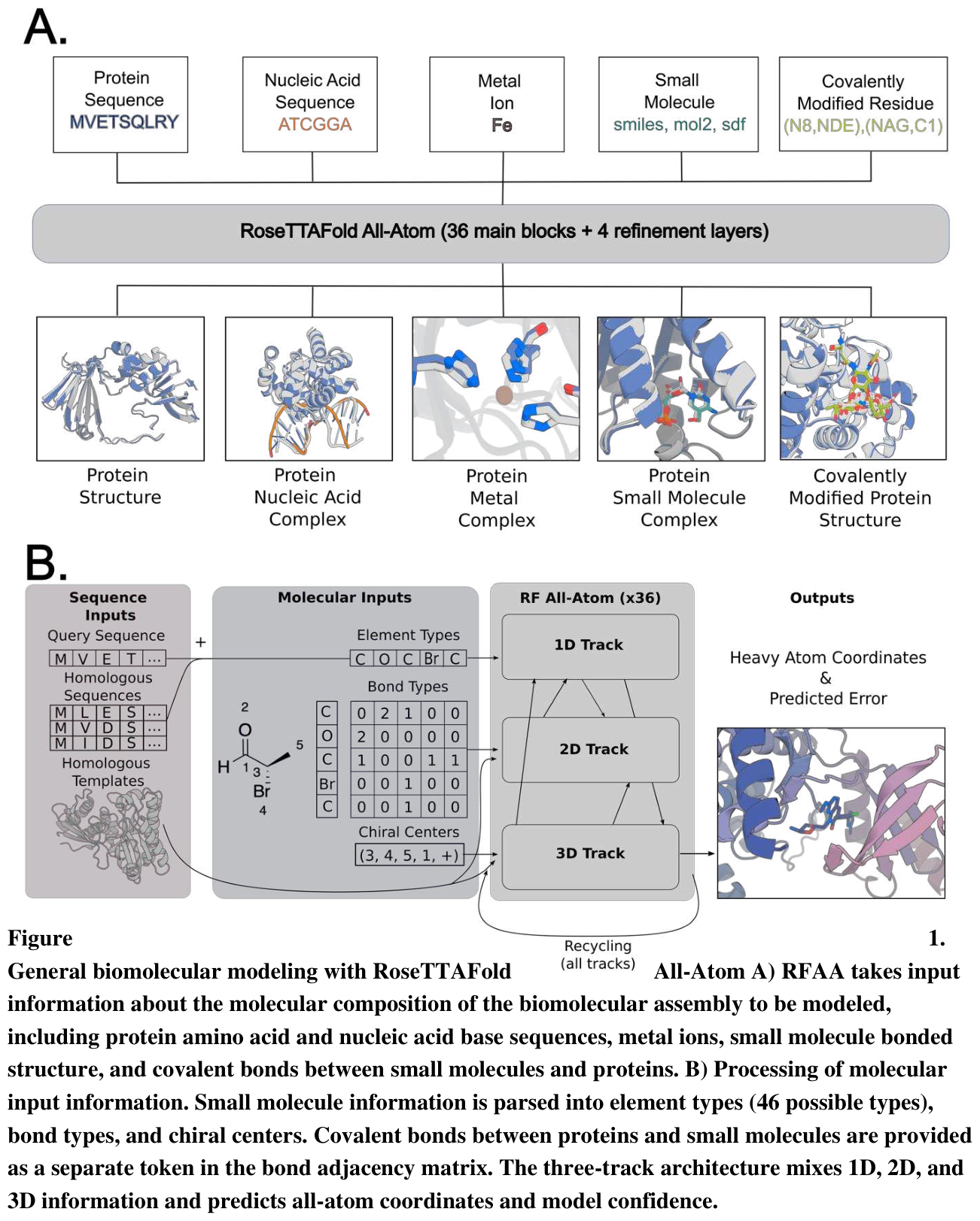 Figure 16: RoseTTAFold All-Atom combines residue-level and atomic representations in a three-track architecture to model proteins, nucleic acids, small molecules, metals, and covalent modifications.