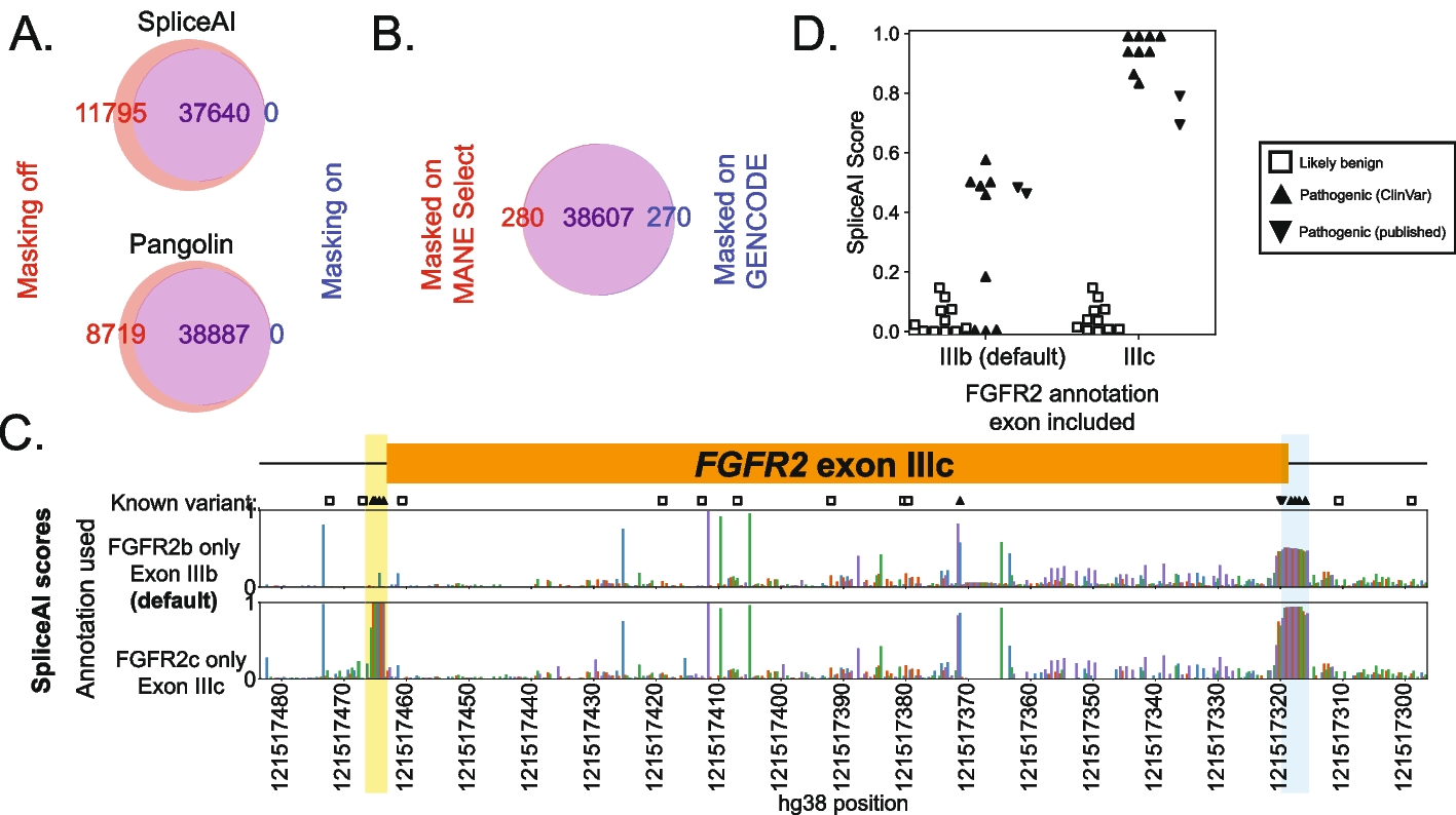 Venn diagrams of variants called disruptive with masking off versus on for SpliceAI and Pangolin, Pangolin calls under MANE Select versus GENCODE annotation, and SpliceAI score tracks and per-variant scores at FGFR2 under two annotations